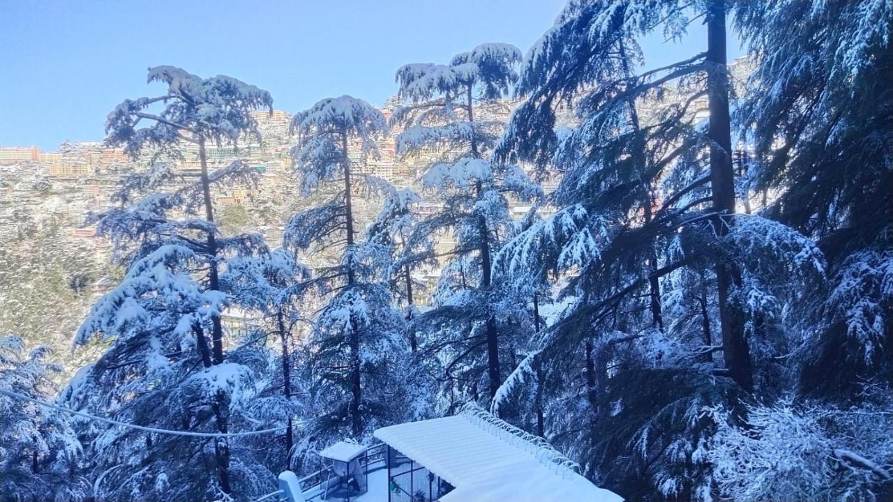 Mountain Zest-Simla Royale Near Mall Road-Free Pickup From Railway Station Simla Екстериор снимка